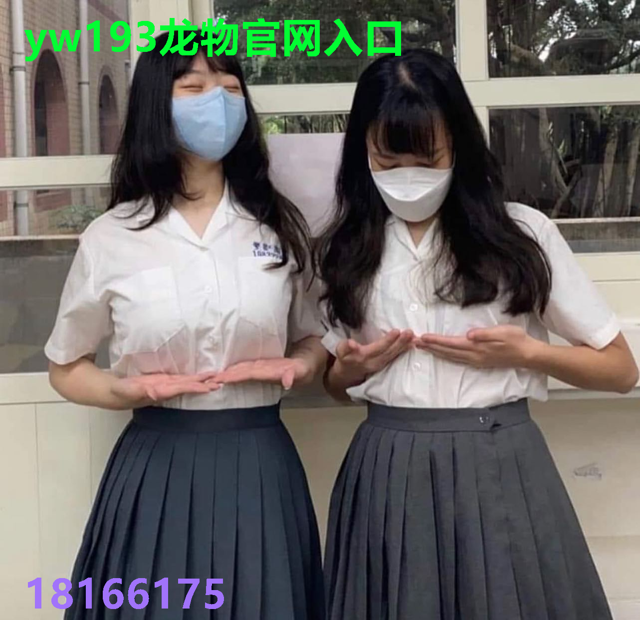yw193龙物官网入口